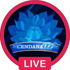 Cara Menggunakan Aplikasi cendana777 untuk Pemula — ikon APK